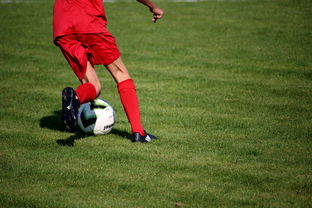 mk体育网页-内线球员在快节奏体系下的功能性演变，内线球员的主要作用