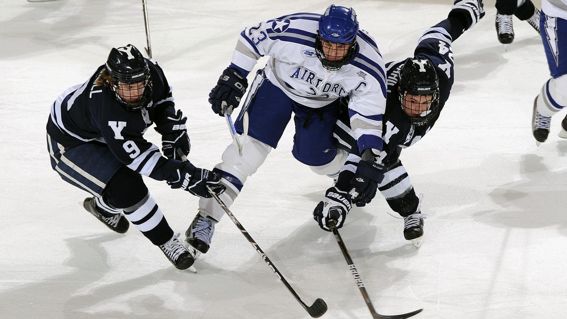 足球数据平台上线基层队伍共享功能，足球队信息管理系统