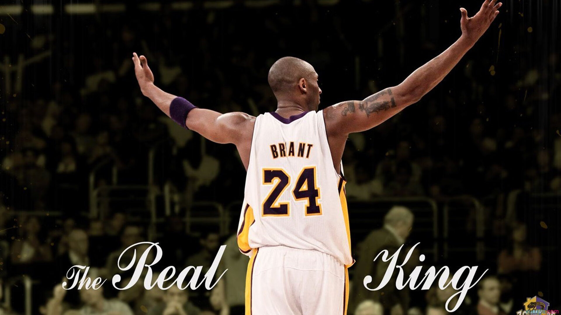 青少年联赛设立奖学金机制支持家庭困难球员，青少年比赛报名